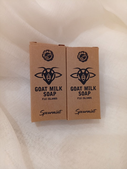 Spearmint: Refreshing Goat Milk Soap Bar