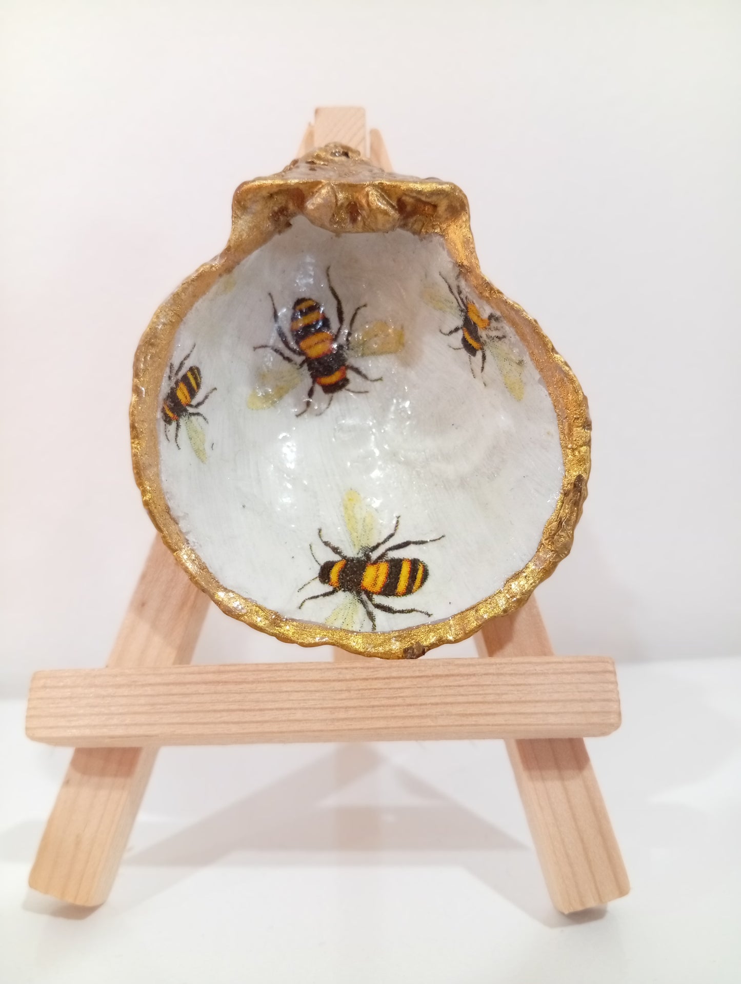 Shell design - Island Treasure Trio