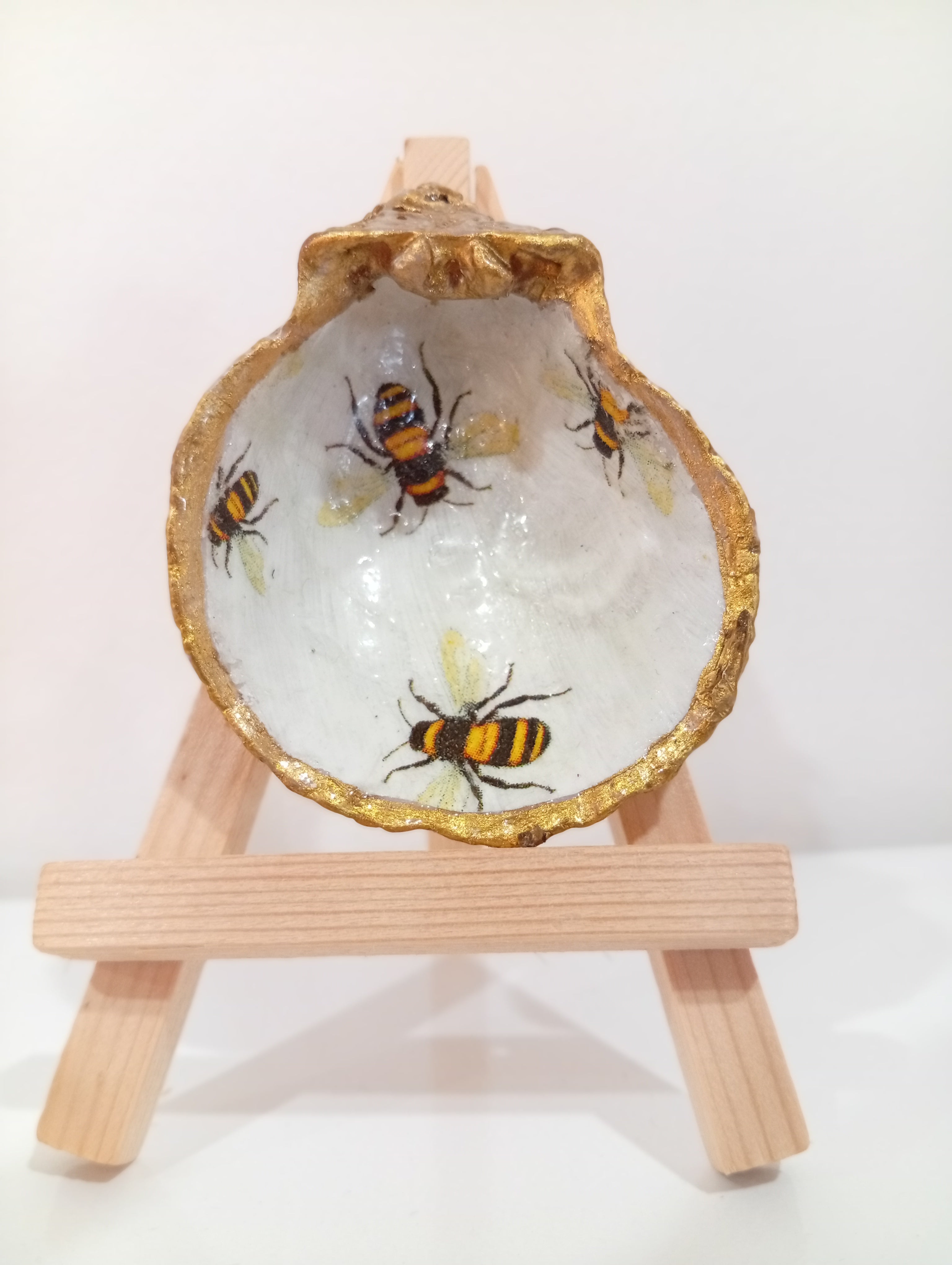 Shell design - Island Treasure Trio