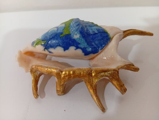 Shell design - Island Treasure Trio