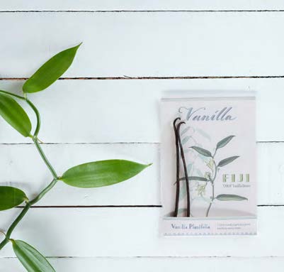 Fiji "COLO" Vanilla Beans - Pack of Two