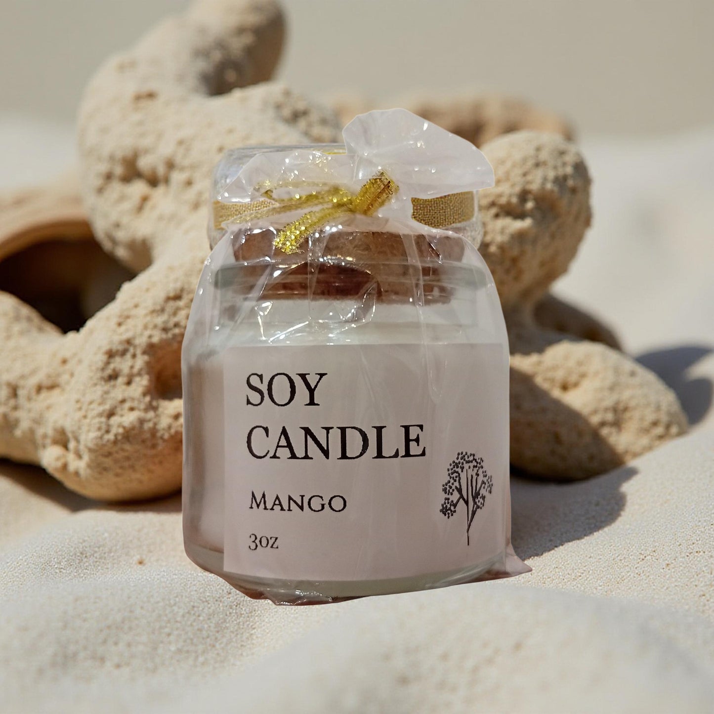 Soy candle by Bliss Fiji