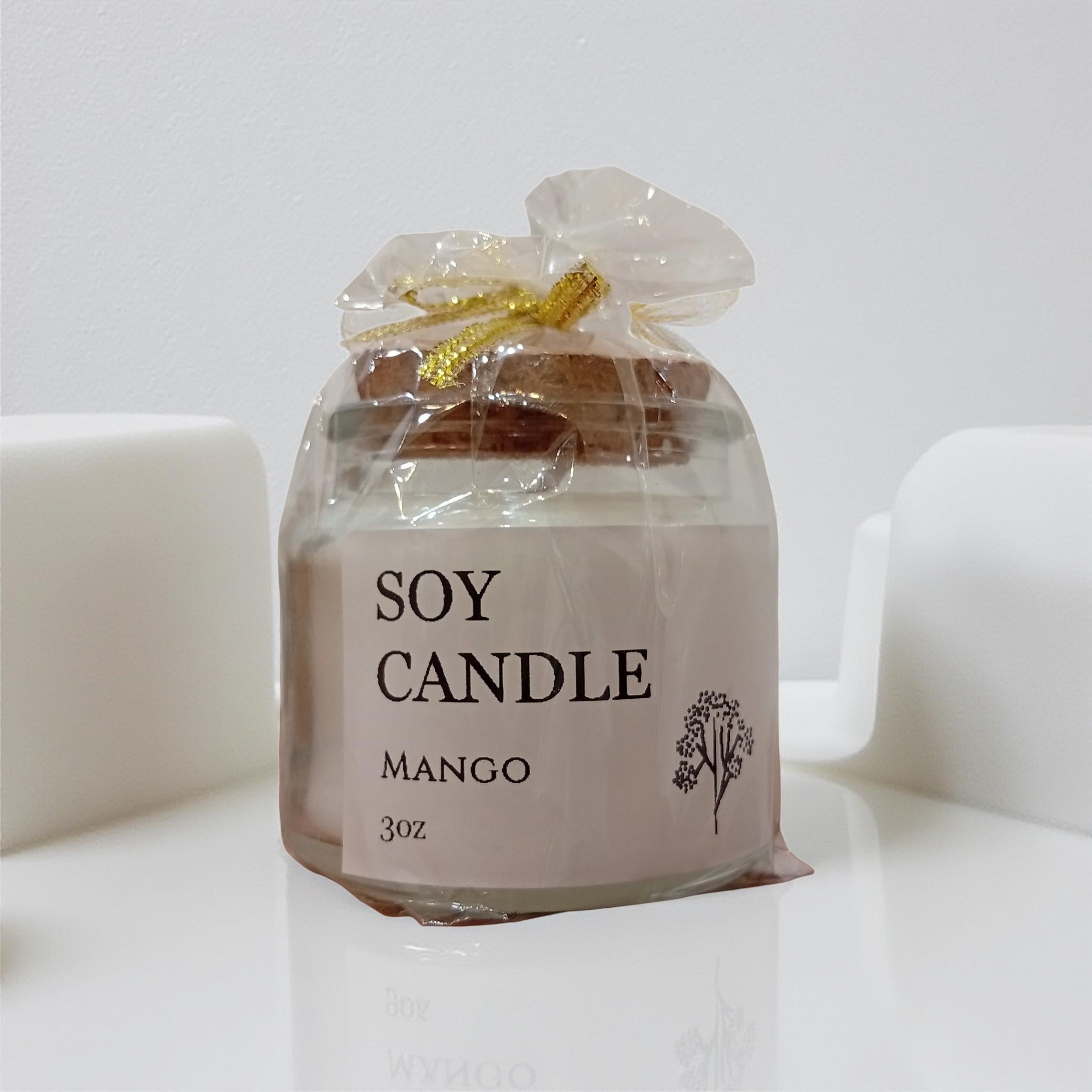 Soy candle by Bliss Fiji